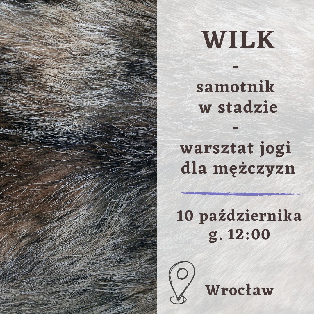 WILK - samotnik w stadzie - warsztat jogi kundalini dla mężczyzn - WROCŁAW - 10/10